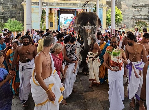 சிதம்பரம் நடராஜர் கோவிலுக்கு புதிய யானை - கும்ப மரியாதையுடன் வரவேற்ற தீட்சிதர்கள்