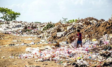 தமிழக எல்லையில் தினமும் கொட்டப்படும் 200 டன் கேரள இறைச்சி, மருத்துவ கழிவு: கட்டுப்பாடுகள் விதிக்காததால் நோய் தொற்று அபாயம்