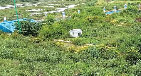 புதர் மண்டி கிடக்கும் பூண்டி நீர்தேக்க பூங்கா ...