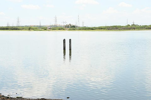 படம்: எஸ்.கிருஷ்ணமூர்த்தி.