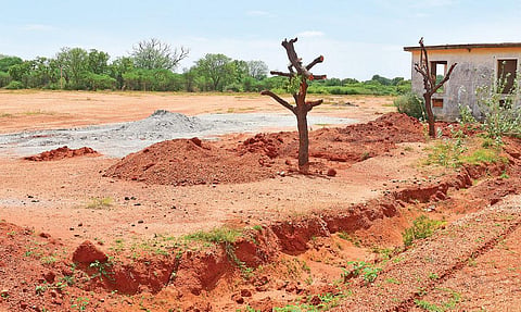 மதுரை தோப்பூரில் ‘எய்ம்ஸ்’ மருத்துவமனைக்கு ஒதுக்கிய இடம். படம்: எஸ்.கிருஷ்ணமூர்த்தி
