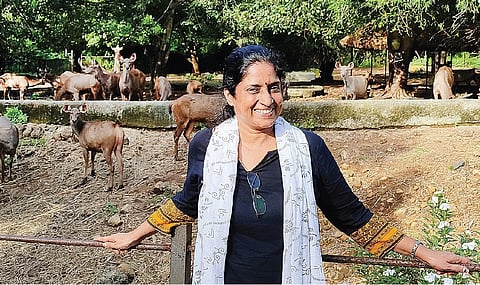 கானுயிர் ஆராய்ச்சியாளர்: இந்தியாவின்‘சிங்க’ப் பெண்