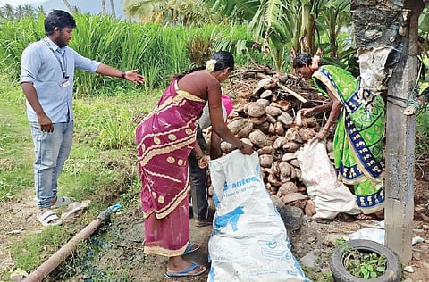 மேட்டூரை அடுத்த கோல்நாயக்கன்பட்டியில் உள்ள வீட்டின் அருகே தேங்காய் மட்டைகளை அகற்றும் பணியில் ஈடுபட்ட சுகாதாரத் துறையினர்.