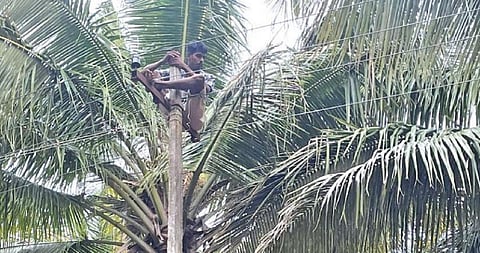 மின் இணைப்பு துண்டிக்கப்பட்டதால் மின் கம்பத்தில் ஏறி தற்கொலைக்கு முயன்ற் விவசாயி.