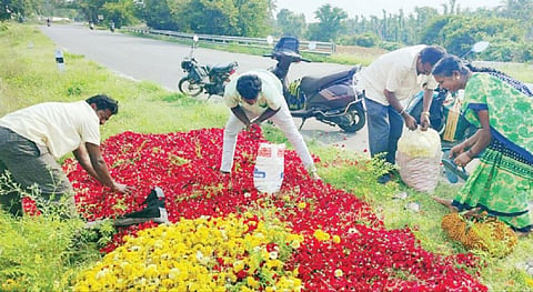 மகசூல் அதிகரிப்பால் பூக்கள் விலை சரிந்து, விற்பனையாகாத நிலையில், தேன்கனிக்கோட்டை அருகே இஸ்லாம்பூரில் சாலையோரம் விவசாயிகள் கொட்டிய மலர்களை அவ்வழியாகச் சென்ற பொதுமக்கள் எடுத்துச் சென்றனர்.
