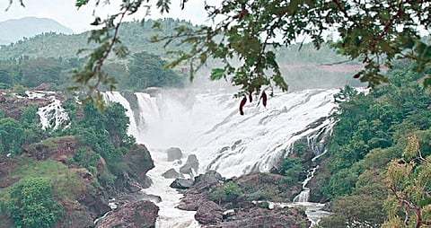 ஒரு நதி சந்திக்கும் குரோதங்கள்