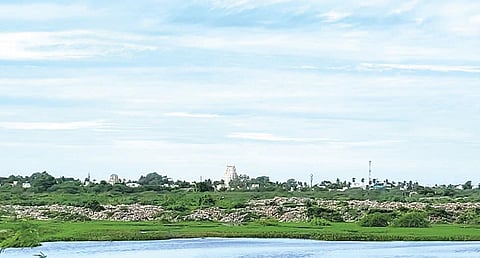 ‘பயிரை மேயும் வேலி’ - ஏரியை ஆக்கிரமிக்கும் மாநகராட்சி குப்பைகள்: நத்தப்பேட்டை ‘சரணாலயம்’ ஆவது எப்போது?