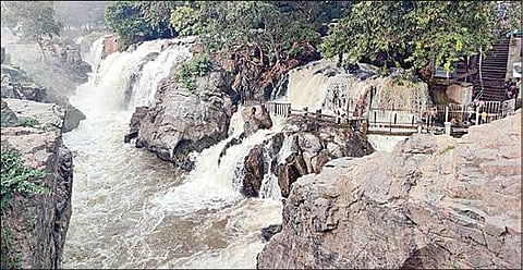 ஒகேனக்கல்லுக்கு நேற்று காலை நீர்வரத்து 14 ஆயிரம் கனஅடியாக இருந்த நிலையில், பிரதான அருவியில் கொட்டும் தண்ணீர்.