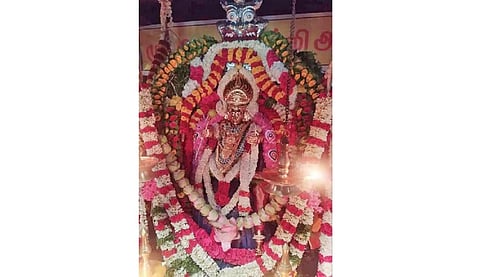 சதுரகிரி சுந்தர மகாலிங்கம் கோயிலில் நவராத்திரி விழாவின் முதல் நாளான நேற்று சிறப்பு அலங்காரத்தில் எழுந்தருளிய ஆனந்தவல்லி அம்மன்.