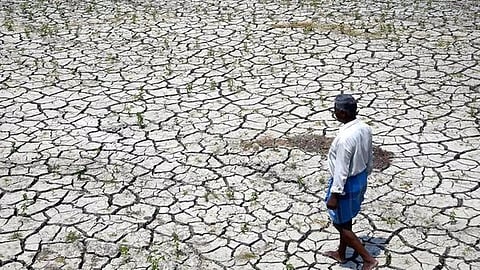 காவிரி விவகாரம்: அரசு சட்ட வல்லுநர்கள் குழுவை அமைக்க டெல்டா விவசாயிகள் எதிர்பார்ப்பு