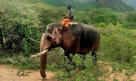 பிரதிநிதித்துவப் படம்