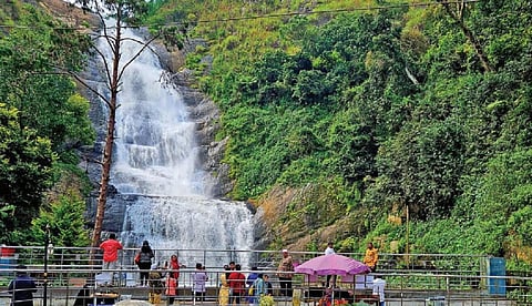 கொடைக்கானல் வெள்ளி நீர்வீழ்ச்சியை பார்வையிட்ட சுற்றுலாப் பயணிகள். படம்: நா.தங்கரத்தினம்