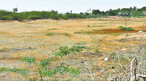 திருநெல்வேலி அருகே மேலகருங்குளத்தில் உள்ள செட்டிக்குளம் நீரின்றி வறண்டு காணப்படுகிறது. படம்: மு.லெட்சுமி அருண்