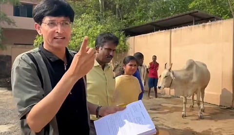 பொதுமக்களுக்கு பாதிப்பு தொடர்ந்தால் மாடு உரிமையாளர்கள் மீது சட்ட நடவடிக்கை: சென்னை மாநகராட்சி ஆணையர் எச்சரிக்கை