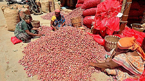 சின்ன வெங்காயம் விலை மீண்டும் உயர்வு: கிலோ ரூ.100-க்கு விற்பதால் ஓசூர் மக்கள் கவலை