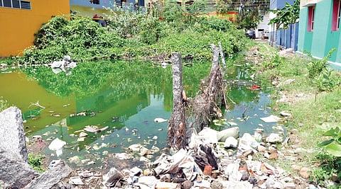 சாக்கடை கால்வாய் அடைப்பு காரணமாகக் கிருஷ்ணகிரி அருகே அகசிப்பள்ளி விநாயகர் கோயில் தெருவில் காலி நிலத்தில் தேங்கியுள்ள கழிவுநீர்.