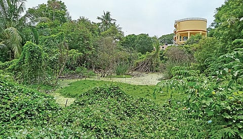 விழுப்புரம் நகரில் உள்ள திரௌபதி அம்மன் கோயில் குளம்.