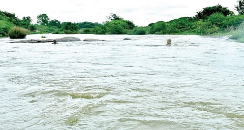 படம்: மு.லெட்சுமி அருண்