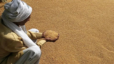 மானிய விலை கோதுமை மாவு; கிலோ ரூ.27.50-க்கு விற்பனை - மத்திய அரசு தொடக்கம்