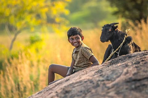 கிடா Review: நேர்த்தியாக ஈர்க்கும் உணர்வுபூர்வ படைப்பு