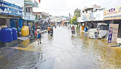 படம்: எஸ்.குரு பிரசாத்
