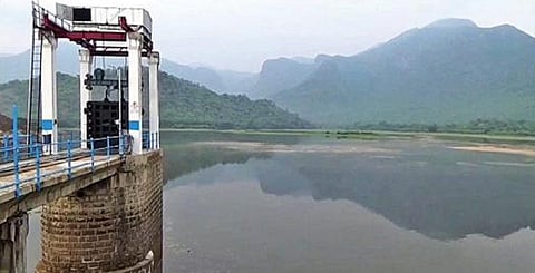 42 அடியை நெருங்கிய  பிளவக்கல் பெரியாறு அணை.