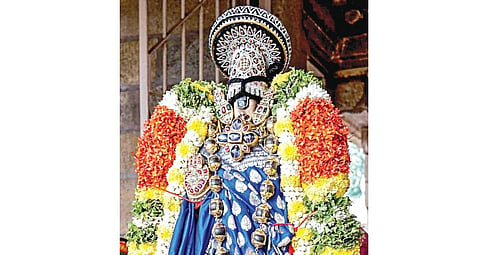 ஸ்ரீரங்கம் ரங்கநாதர் கோயிலில் தீர்த்தவாரி கண்டருளிய நம்பெருமாள்