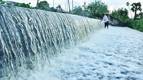 படம்: மு.லெட்சுமி அருண்.