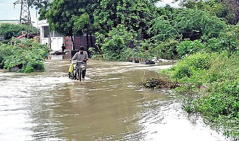விருதுநகர் போலீஸ் பாலம் பகுதியில் தரைப்பாலத்தை மூழ்கடித்துச் செல்லும் மழைநீர்.