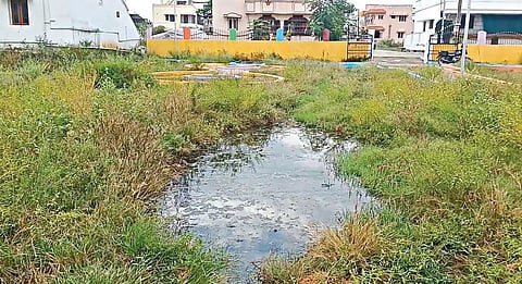 அரூரில் கொசு உற்பத்தி மையமாக மாறிய சிறுவர் பூங்கா - நோய் பரவும் அபாயம்