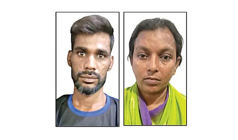 சித்திக் அலி, ஷாஜின்