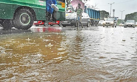படங்கள்: எம்.சாம்ராஜ்