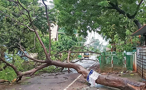 படம்: ஆர்.வெங்கடேஷ்
