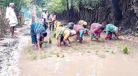 கெங்கதேவன் குப்பத்தில் சாலையை சீரமைக்கக் கோரி அப்பகுதிவாசிகள் சாலையில் தேங்கிய மழைநீரில் நாற்று நடும் போராட்டத்தில் ஈடுபட்டனர்.