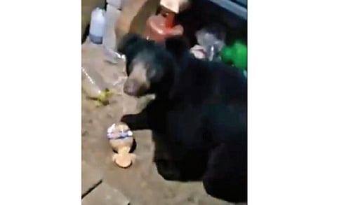 அந்தியூரை அடுத்த பர்கூர் வனப்பகுதியில் உள்ள கொங்காடை கிராமத்தில் உள்ள ஒரு வீட்டில் புகுந்த கரடியால் பொதுமக்கள் அச்சமடைந்தனர்.