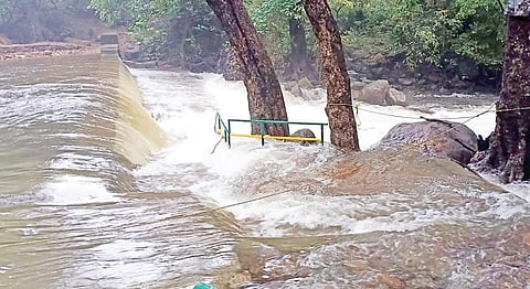 களக்காடு தலையணையில் நீர்வரத்து அதிகரித்துள்ளதால் அங்கு குளிக்க வனத்துறை தடை விதித்துள்ளது.