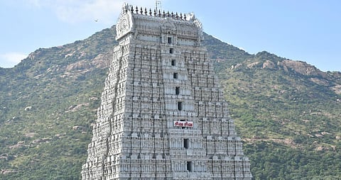 தி.மலை கார்த்திகை தீப திருவிழாவுக்கு 2700 சிறப்பு பேருந்துகள்: அமைச்சர் எஸ்.எஸ். சிவசங்கர் தகவல்