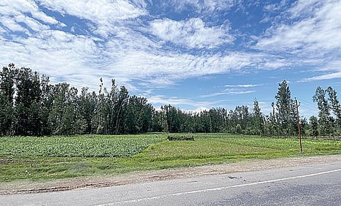 போவோமா ஊர்கோலம் - 22: கைக்கு எட்டிய காஷ்மீர் கனவு