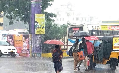 விழுப்புரம் நகரில் தொடர்ந்து நேற்றும் மிதமான மழை பெய்தது.