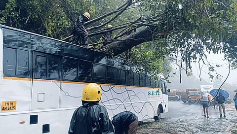 கனமழை காரணமாக அரசுப் பேருந்து மீது முறிந்து விழுந்த மரத்தை அகற்றும் பணியில் ஈடுபட்டுள்ள பணியாளர்கள்