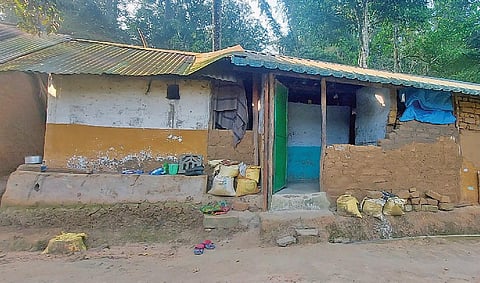 மண் மற்றும் மூங்கில் மூலம் கட்டப்பட்ட காடர் பழங்குடியின மக்களின் வீடுகள்.