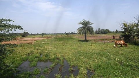 பரந்தூரில் விமானம் நிலையம் அமைக்க அடையாளம் காணப்பட்டுள்ள இடம்.