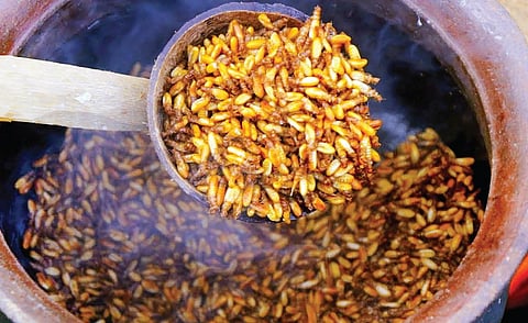 பறக்கும் உணவு: மழைக்கால ஈசல்கள்
