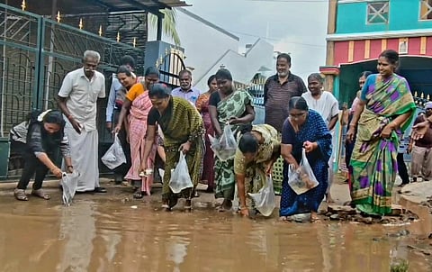 சேறு, சகதி, நீர் தேங்கும் மதுரை சாலைகள்: மீன் குஞ்சுகளை விட்டும், நாற்றுகளை நட்டும் மக்கள் போராட்டம் 