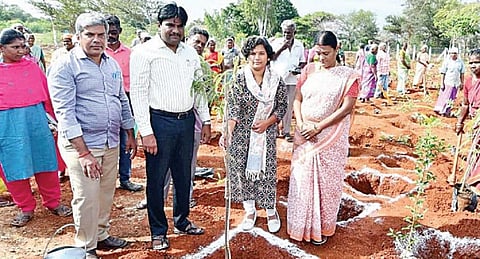 காட்டு குடியிருப்பு கிராமத்தில் குறுங்காடுகளை உருவாக்க மரக்கன்றுகள் நடவு செய்யும் பணியை தொடங்கி வைத்த ஆட்சியர் ஆஷா அஜித், ஊரக வளர்ச்சி முகமை திட்ட இயக்குநர் சிவராமன் உள்ளிட்டோர்.