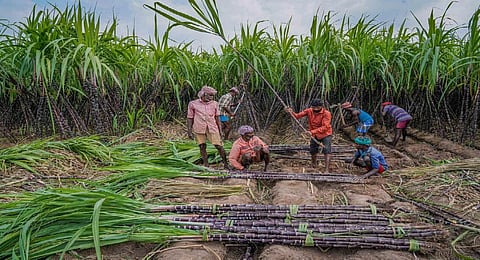 கோப்புப்படம்