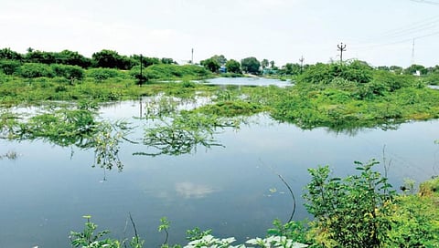 படம்: மு.லெட்சுமி அருண்