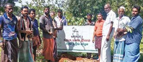 உலக மண் தினம்: காவேரி கூக்குரல் இயக்கம் சார்பில் 2.5 லட்சம் மரக்கன்றுகள் நடவு