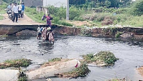 செல்லியம்மன் நகர் பகுதியில் ஆபத்தான முறையில் வேகவதி ஆற்றை கடந்து செல்லும் பள்ளி மாணவர்கள் மற்றும் பொதுமக்கள்.