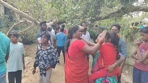 சிறுவானூர் கண்டிகையில் தொடக்கப் பள்ளி மேற்கூரை மீது மரக்கிளை முறிந்து விழுந்ததில் 3 மாணவிகள் படுகாயம்